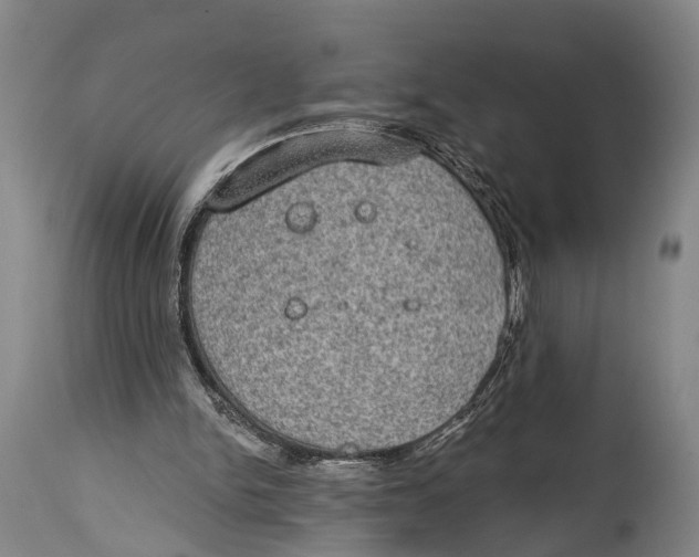 X0000115070150200911171138