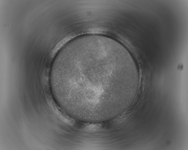 X0000115070155200911171138