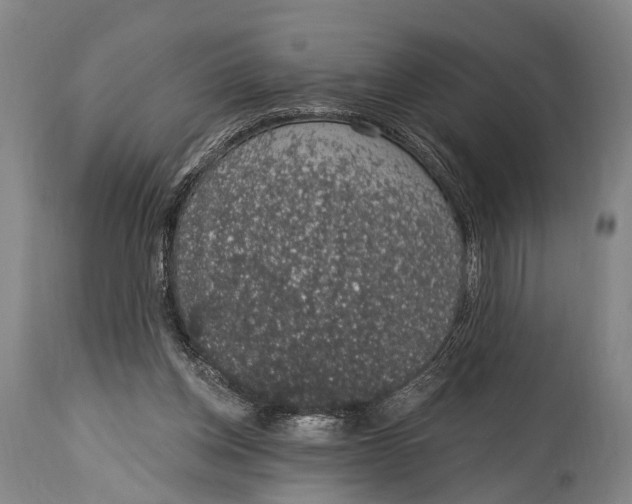 X0000115070158200911171138