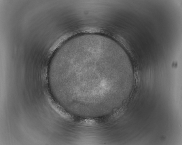 X0000115070159200911171138