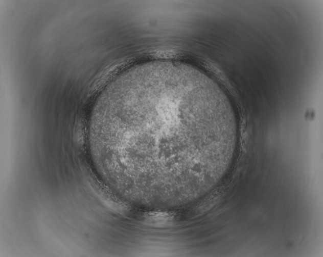 X0000115070161200911171138