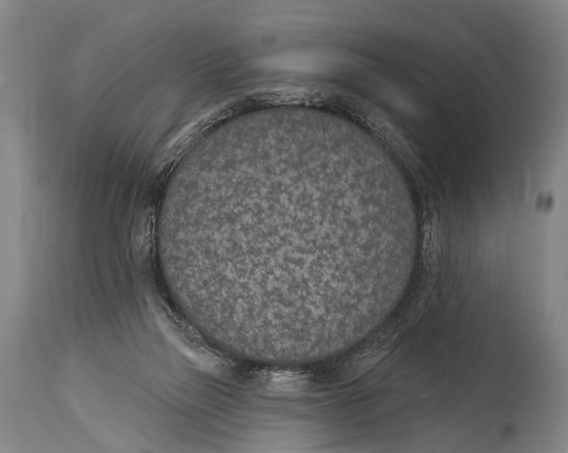 X0000115070165200911171138