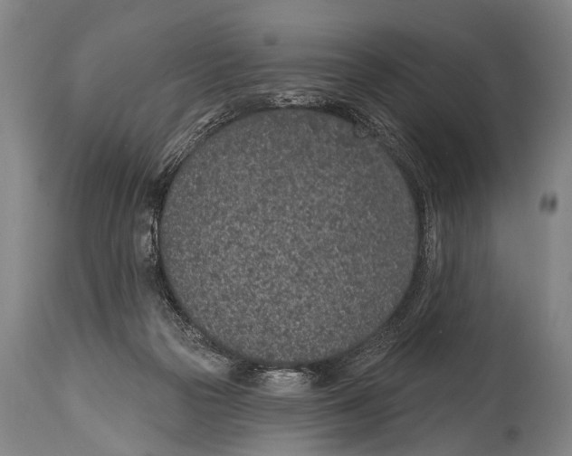X0000115070169200911171138