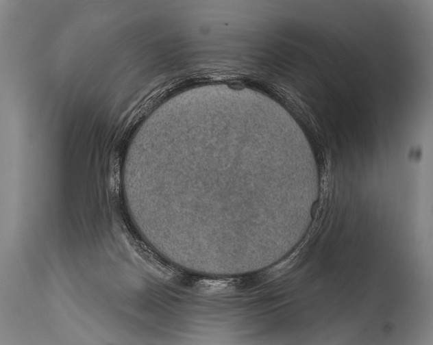 X0000115070170200911171138