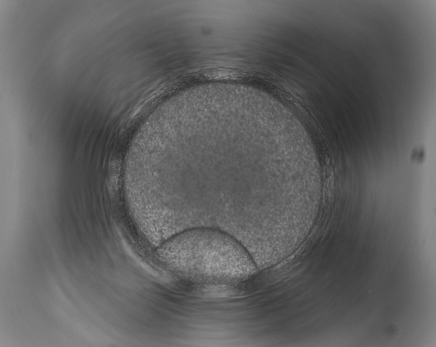 X0000115070171200911171138