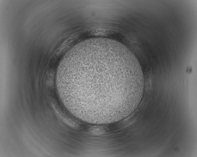 X0000115070175200911171138