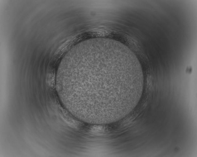 X0000115070177200911171138