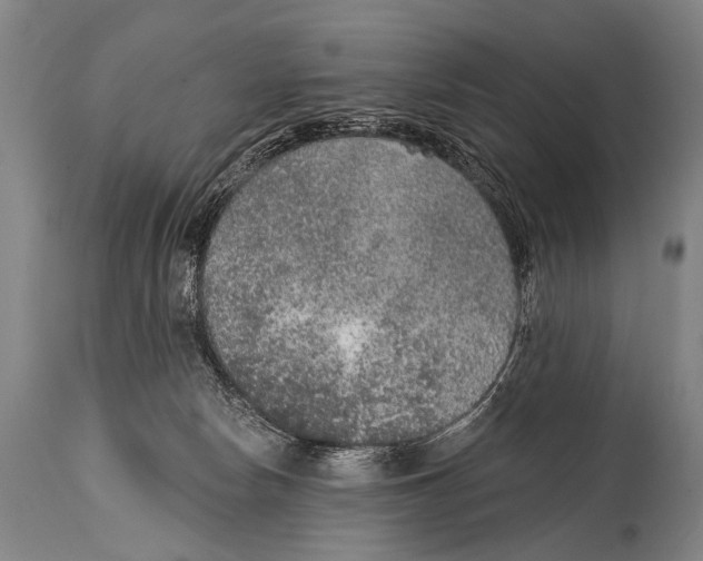 X0000115070178200911171138