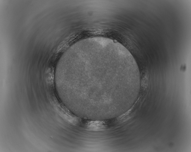 X0000115070179200911171138