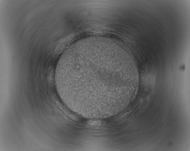 X0000115070181200911171139