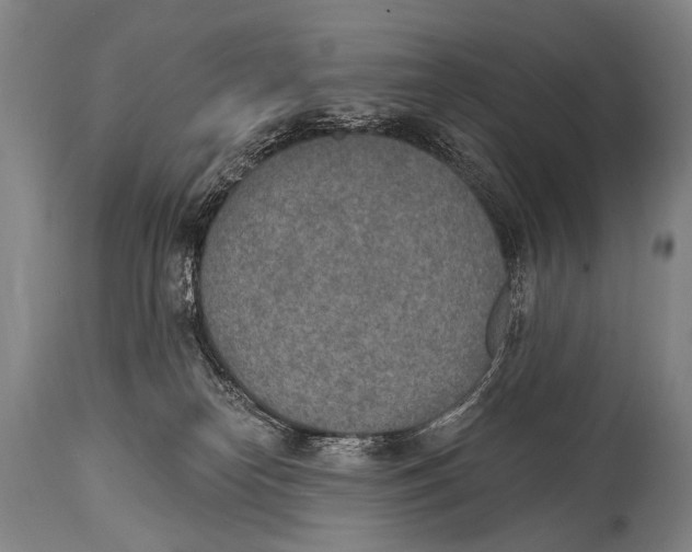 X0000115070182200911171139