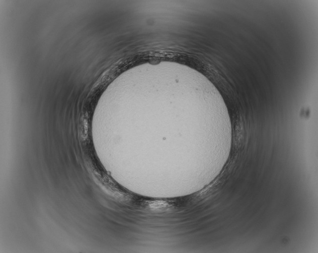 X0000115070183200911171139