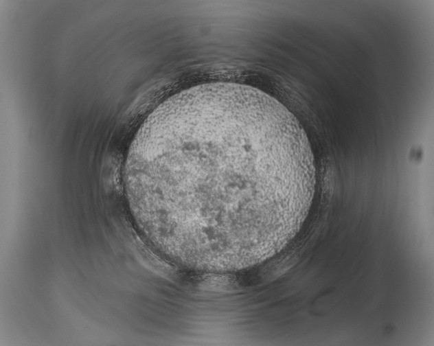 X0000115070185200911171139