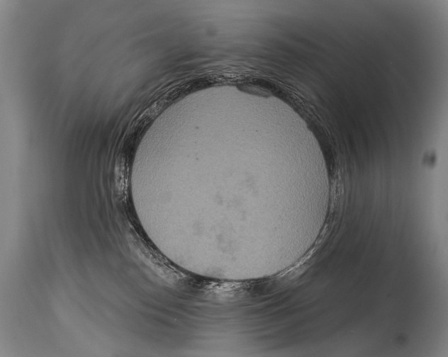 X0000115070186200911171139