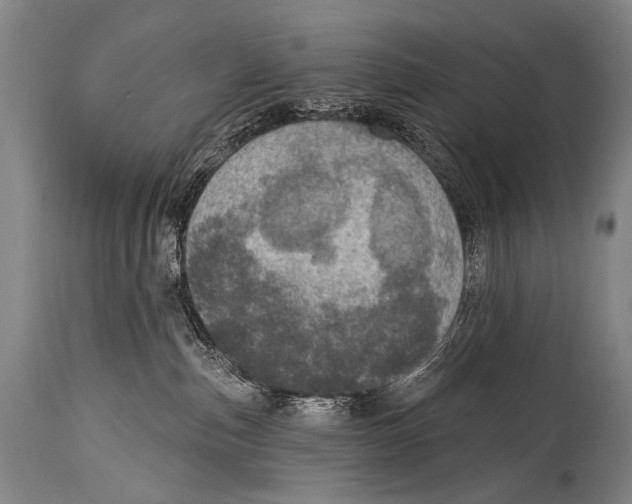 X0000115070187200911171139