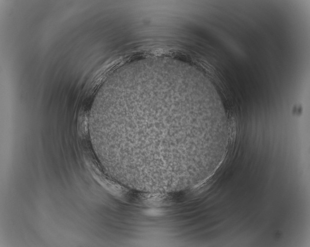 X0000115070191200911171139