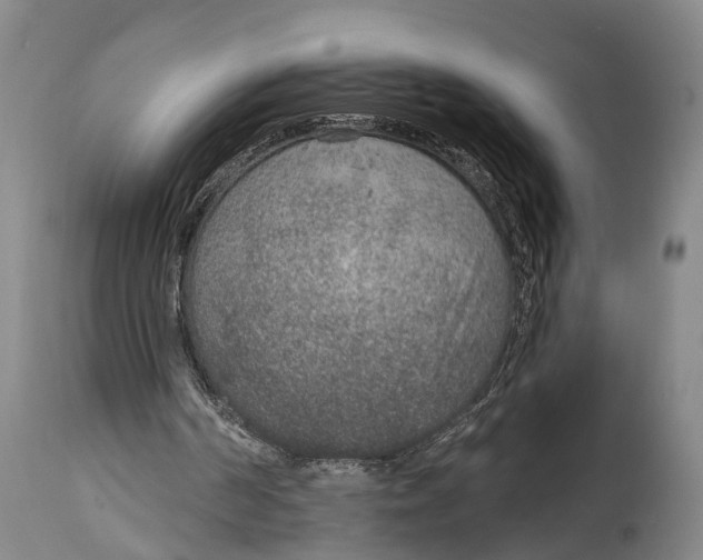 X0000115070194200911171138