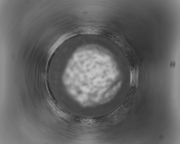 X0000115070195200911171138