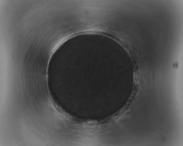 X0000115070196200911171138