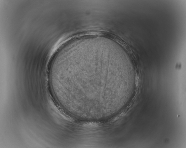 X0000115070198200911171138