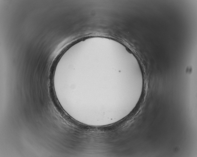 X0000115070199200911171138