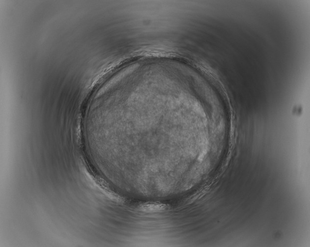 X0000115070202200911171138