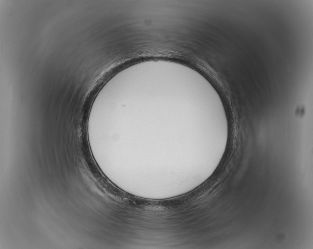 X0000115070203200911171138