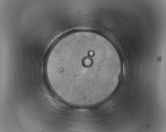 X0000115070204200911171138