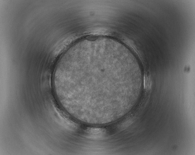 X0000115070205200911171138