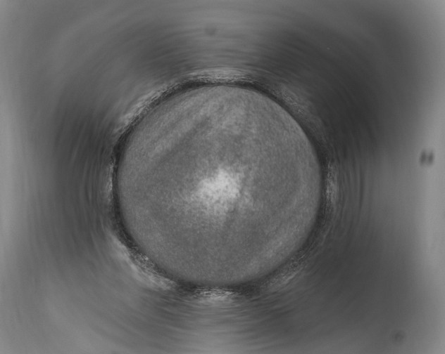 X0000115070206200911171138