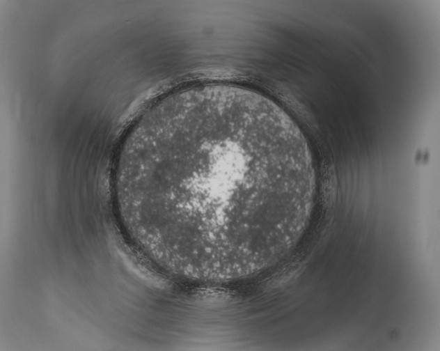 X0000115070207200911171138