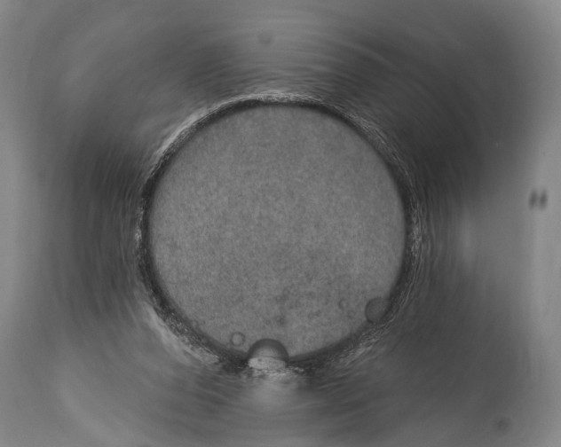 X0000115070208200911171138
