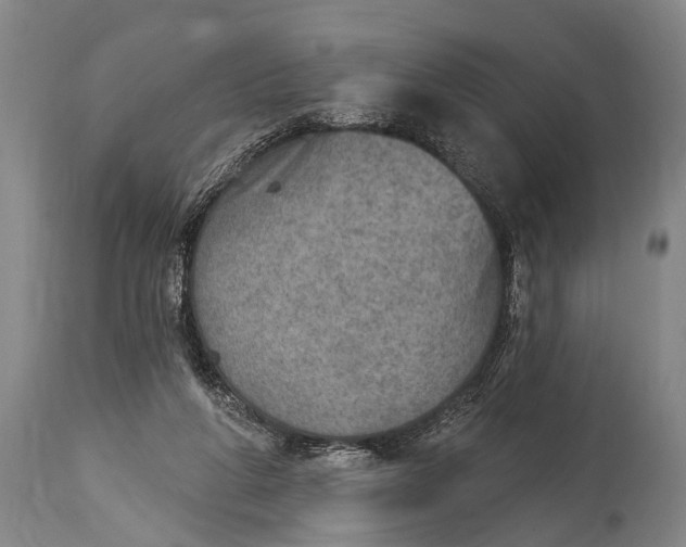 X0000115070210200911171138