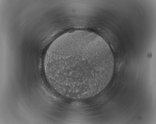 X0000115070211200911171138