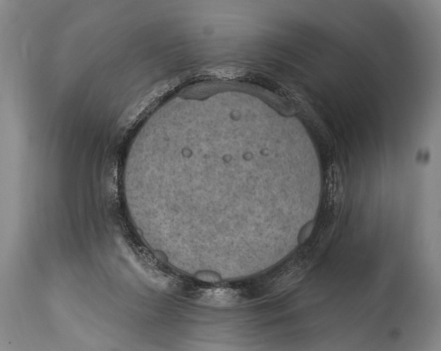 X0000115070212200911171138
