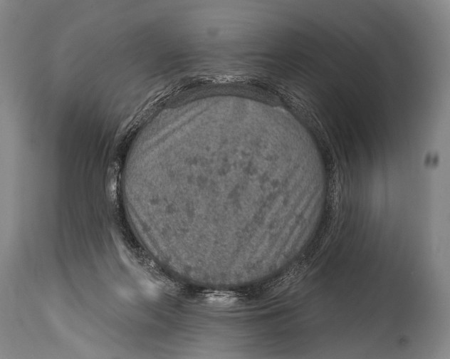X0000115070214200911171138