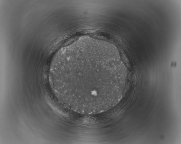 X0000115070215200911171138