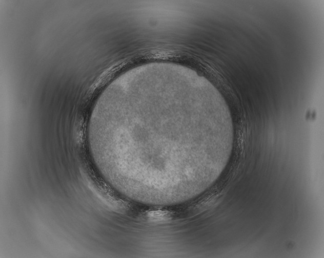 X0000115070216200911171138