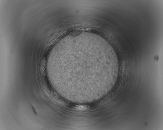 X0000115070218200911171137