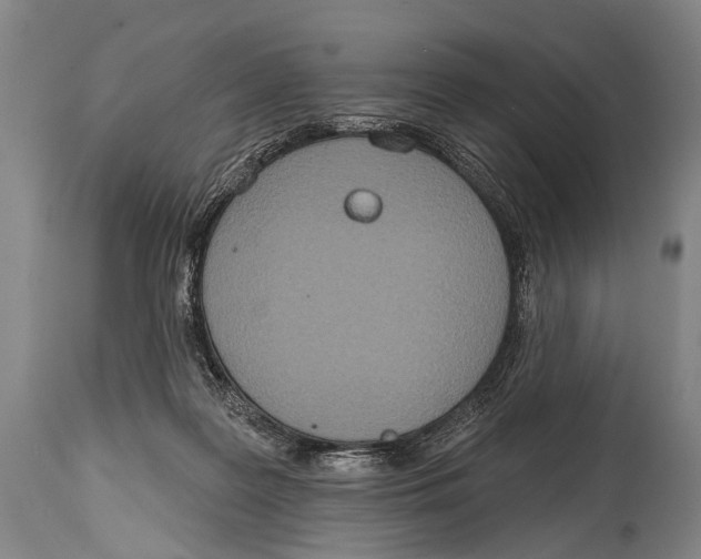 X0000115070219200911171137