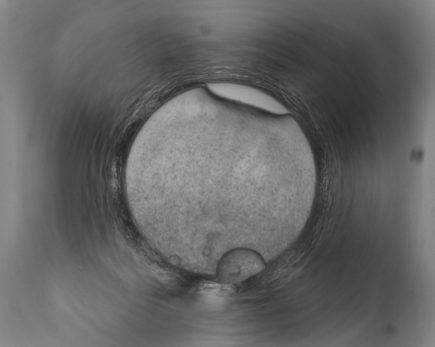 X0000115070220200911171137