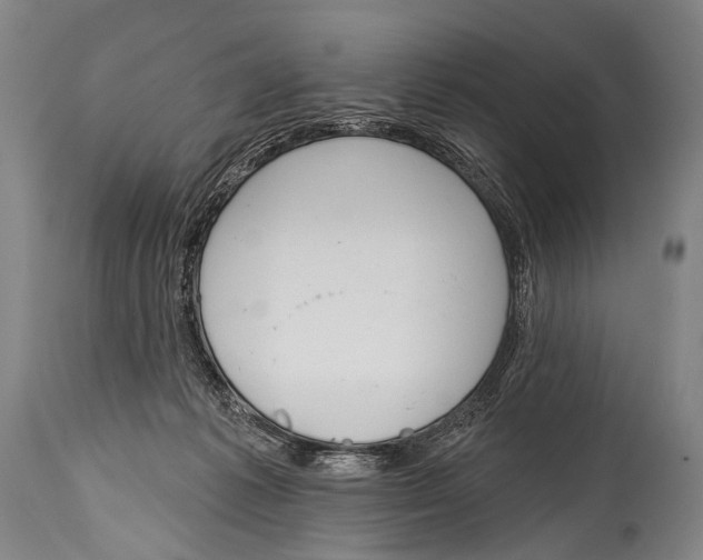 X0000115070221200911171137