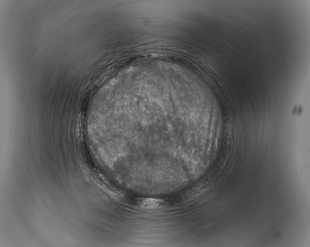 X0000115070222200911171137