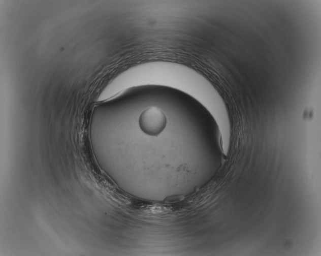X0000115070223200911171137