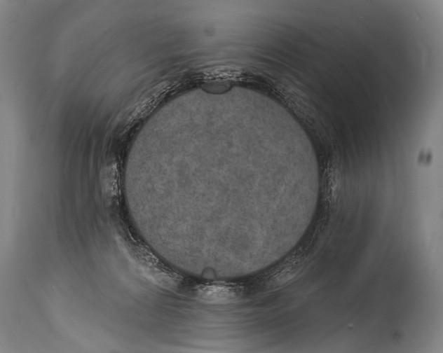 X0000115070224200911171137