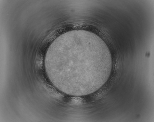 X0000115070226200911171137