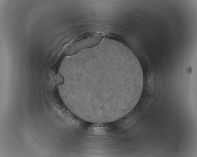 X0000115070228200911171137