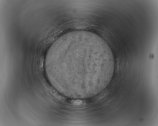 X0000115070230200911171137