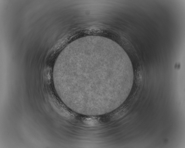 X0000115070232200911171137