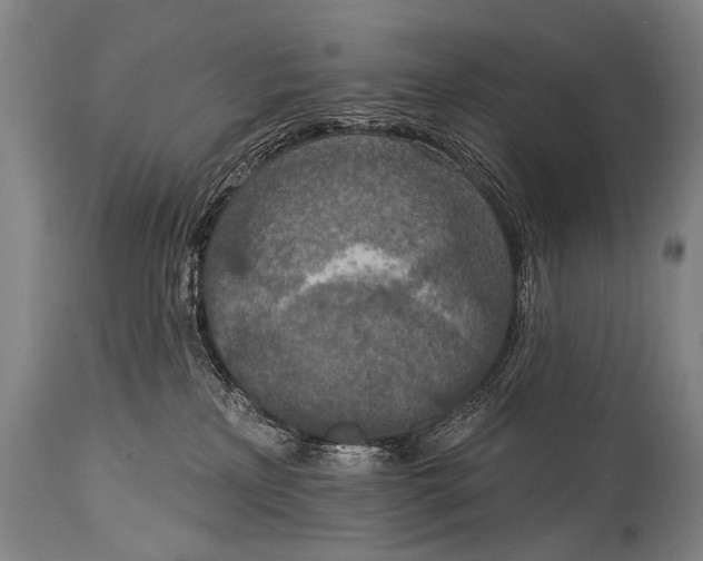 X0000115070233200911171137